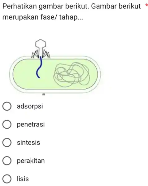 Perhatikan gambar berikut. Gambar berikut merupakan fase/ tahap... adsorpsi penetrasi sintesis perakitan lisis