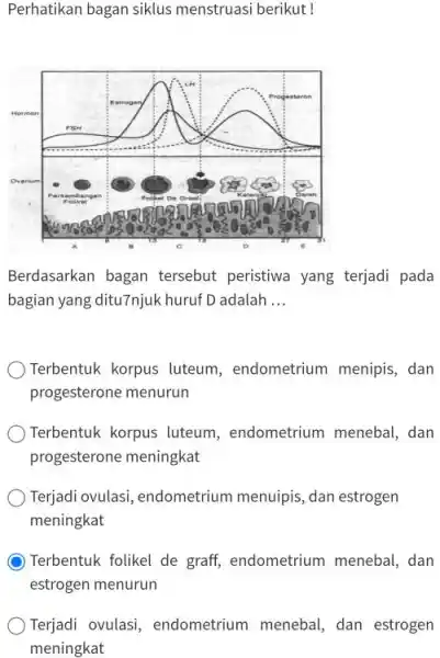 Perhatikan bagan siklus menstruasi berikut ! Berdasarkan bagan tersebut peristiwa yang terjadi pada bagian yang ditu7njuk huruf D adalah ... Terbentuk korpus luteum, endometrium