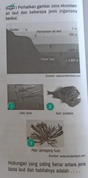 (⿺ㅏㅇ) Perhatikan gambar zona ekosistem air laut dan beberapa jenis organisme berikut. Sumber: www.shutterstock.com Ikan tuna lkan predator Alga (ganggang laut) Sumber: www.shutterstock.com Hubungan