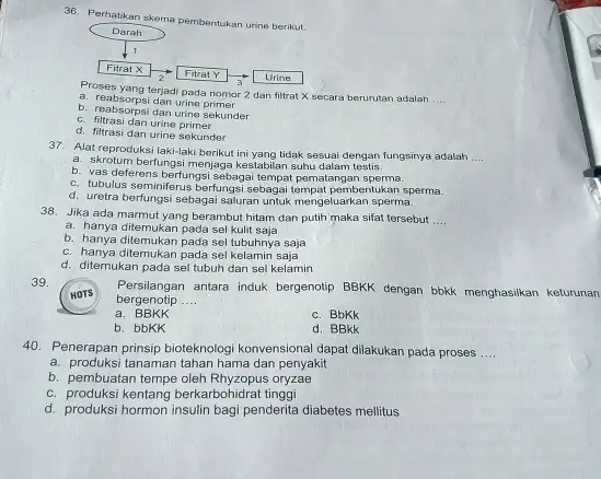 Perhatikan skema pembentukan urine berikut Proses yang terjadi pada nomor 2 dan filtrat X secara berurutan adalah .... a. reabsorpsi dan urine primer b.