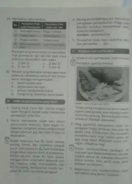 Perhatikan tabel berikut! No. Perubahan Fisilk pada Rrocmeitin Perubahan Fisilk pada Rrocmeitin Perubothin Fisk pads Lalitals Perubothin Fisk pads Lalitals 11 Suara lebin lembut.