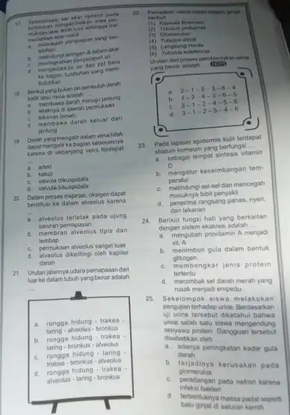 Spesialisasi sel akar rambut pada tumbuhan mengakibatkan area permukaan akar lebih luas sehingga me: mudahkan akar untuk ... a. mencegah penguapan yang berlebinan b.