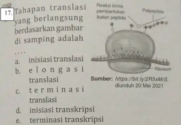 Tahapan translasi yang berlangsung berdasarkan gambar di samping adalah a. inisiasi translasi b. elong a s i translasi c. termin as i Sumber: https://bit.ly/2R5xMrS