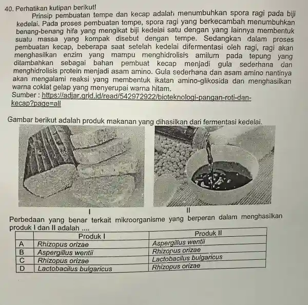 Perhatikan kutipan berikut! Prinsip pembuatan tempe dan kecap adalah menumbuhkan spora ragi pada biji kedelai. Pada proses pembuatan tempe, spora ragi yang berkecambah menumbuhkan