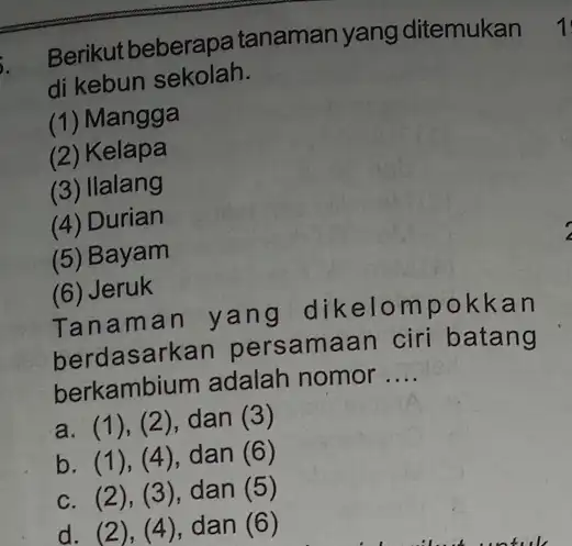 Berikut beberapa tanaman yang ditemukan di kebun sekolah. (1) Mangga (2) Kelapa (3) Ilalang (4) Durian (5) Bayam (6) Jeruk Tanaman yang dikelompokkan berdasarkan