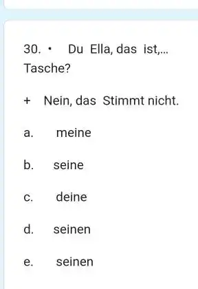 Du Ella, das ist,... Tasche? Nein, das Stimmt nicht. a. meine b. seine c. deine d. seinen e. seinen