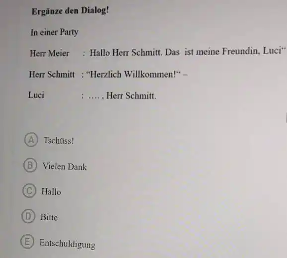 Ergänze den Dialog! In einer Party Herr Meier : Hallo Herr Schmitt. Das ist meine Freundin, Luci* Herr Schmitt : "Herzlich Willkommen!" - Luci