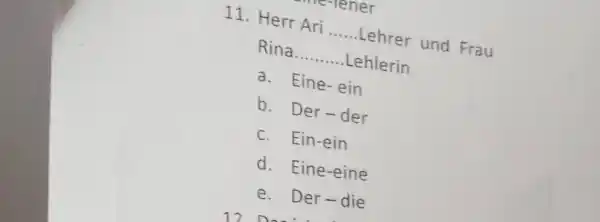 Herr Ari lener Rina Lehrer und Frau Lehlerin a. Eine-ein b. Der-der c. Ein-ein d. Eine-eine e. Der-die