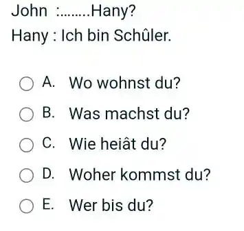 John Hany? Hany: Ich bin Schûler. A. Wo wohnst du? B. Was machst du? C. Wie heiât du? D. Woher kommst du? E. Wer