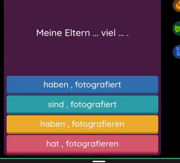 Meine Eltern ... viel ... . haben, fotografiert sind , fotografiert haben, fotografieren hat , fotografieren