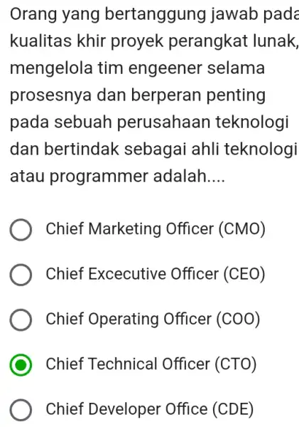 Orang yang bertanggung jawab pada kualitas khir proyek perangkat lunak, mengelola tim engeener selama prosesnya dan berperan penting pada sebuah perusahaan teknologi dan bertindak