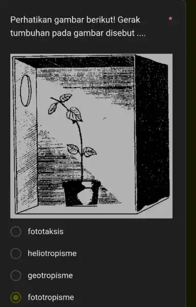 Perhatikan gambar berikut! Gerak tumbuhan pada gambar disebut .... fototaksis heliotropisme geotropisme fototropisme