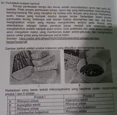 Perhatikan kutipan berikut Prinsip pembuatan tempe dan kecap adalah menumbuhkan spora ragi pada bif kedelai. Pada proses pembuatan tempe, spora ragi yang berkncambah menumbuthan