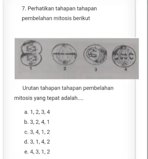 Perhatikan tahapan tahapan pembelahan mitosis berikut Urutan tahapan tahapan pembelahan mitosis yang tepat adalah.... a. 1,2,3,4 b. 3,2,4,1 c. 3,4,1,2 d. 3,1,4,2 e. 4,3,1,2