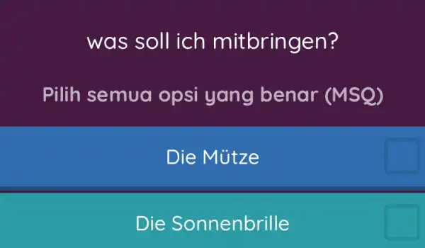 was soll ich mitbringen? Pilih semua opsi yang benar (MSQ) Die Mütze Die Sonnenbrille