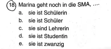 (18.) Marina geht noch in die SMA, .... a. sie ist Schülerin b. sie ist Schüler c. sie sind Lehrerin d. sie ist Studentin