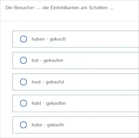 Die Besucher ... die Eintrittkarten am Schalten ... haben - gekauft hat - gekaufen hast - gekaufst habt - gekaufen habe - gekaufe