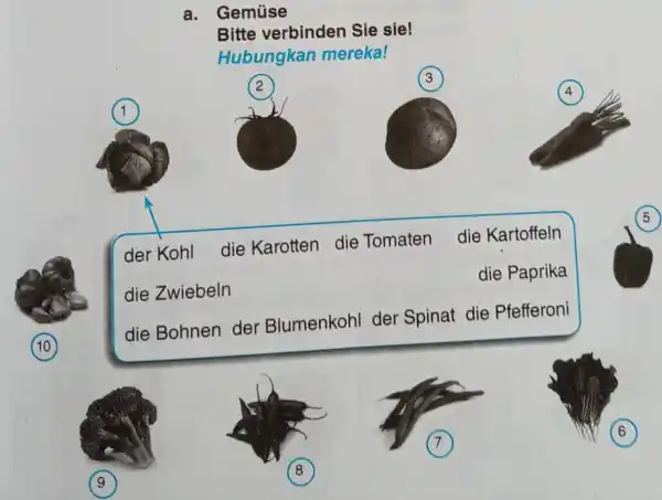 a. Gemüse Bitte verbinden Sie sie! Hubungkan mereka! (3) der Kohl die Karotten die Tomaten die Kartoffeln die Zwiebeln die Paprika die Bohnen der