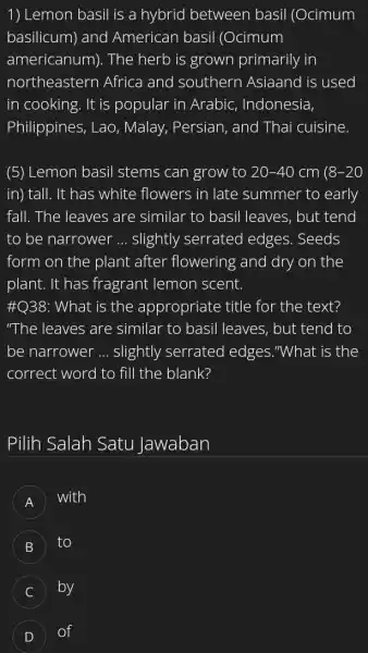 Lemon basil is a hybrid between basil (Ocimum basilicum) and American basil (Ocimum americanum). The herb is grown primarily in northeastern Africa and southern