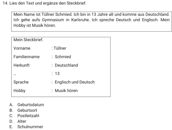 Lies den Text und ergänze den Steckbrief. Mein Name ist Tüllner Schmied. Ich bin in 13 Jahre alt und komme aus Deutschland. Ich gehe