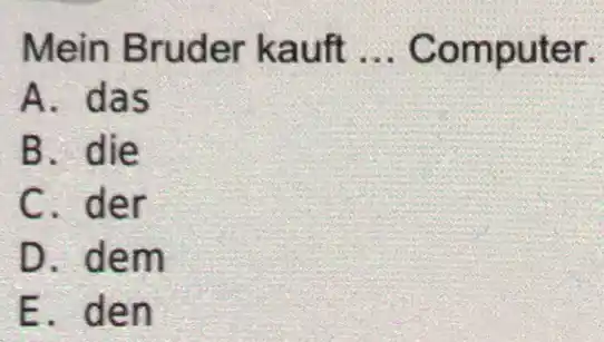 Mein Bruder kauft ... Computer. A. das B. die C. der D. dem E. den