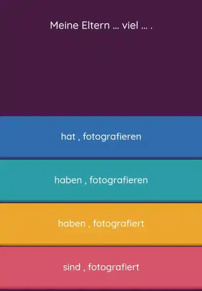 Meine Eltern ... viel ... . hat, fotografieren haben, fotografieren haben, fotografiert sind, fotografiert