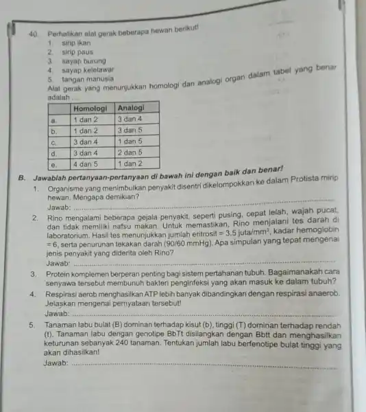 Perhatikan alat gerak beberapa hewan berikut! sirip ikan sirip paus sayap burung sayap kelelawar tangan manusia Alat gerak yang menunjukkan homologi dan analogi organ