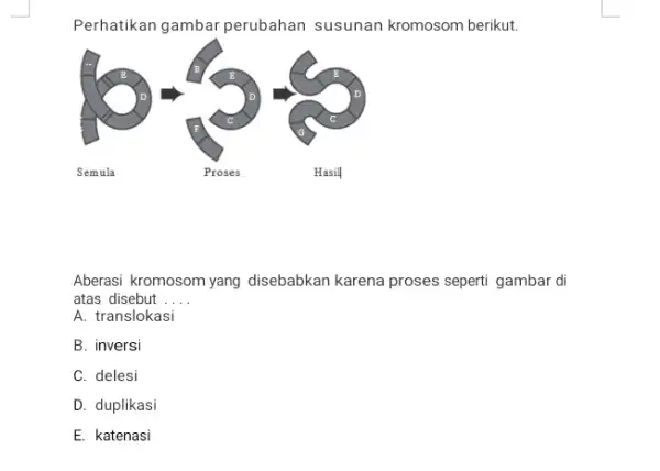 Perhatikan gambar perubahan susunan kromosom berikut. Aberasi kromosom yang disebabkan karena proses seperti gambar di atas disebut.... A. translokasi B. inversi C. delesi D.