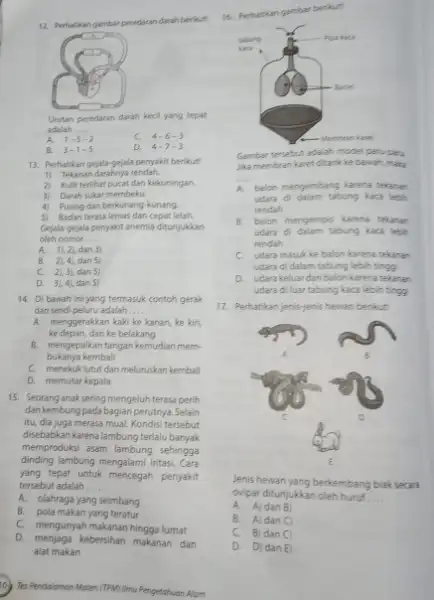 Perhatikan garnbar peredaran darah berikut 16 Perhatikan gambar berint: Urutan peredaran darah kecil yang tepat adalah ..... A. 1=5-2 C 4-6-3 B. 3-1-5 D.