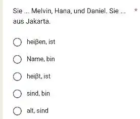 Sie ... Melvin, Hana, und Daniel. Sie ... * aus Jakarta. heißen, ist Name, bin heißt, ist sind, bin alt, sind