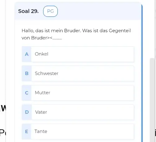 Soal 29. PG Hallo, das ist mein Bruder. Was ist das Gegenteil von Bruder>< A Onkel B Schwester C Mutter D Vater E Tante