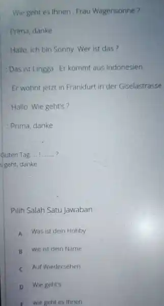 Wie geht es thnen, Frau Wagensonne? Prima, danke Hallo, ich bin Sonny. Wer ist das? Das ist Lingga. Er kommt aus Indonesien. Er wohnt