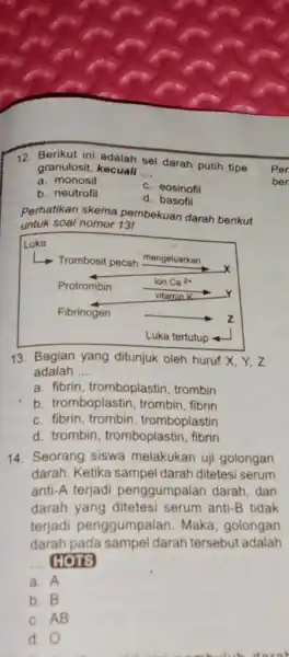 Berikut ini adalah sel darah putih tipe granulosit, kecuall a. monosit b. neutrofil c. eosinofil d. basofil perhatikan skema pembekuan darah berikut untuk soal