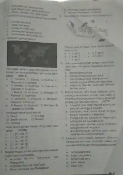 jenis tanah, air manusia iklim d. Juas wilayah, iklim jenis tanah fauna a. founa manusia iktim, luas wilayah Faura khas yang hid up di