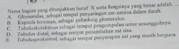 Nama bagian yang ditunjukkan huruf X serta fungsinya yang benar adalah... A. Glomerulus, sebagai tempat penyaringan zat-zatsisa dalam darah. B. Kapsula bowman, sebagai pelindung