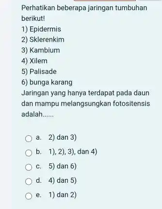 Perhatikan beberapa jaringan tumbuhan berikut! Epidermis Sklerenkim Kambium Xilem Palisade bunga karang Jaringan yang hanya terdapat pada daun dan mampu melangsungkan fotositensis adalah a.