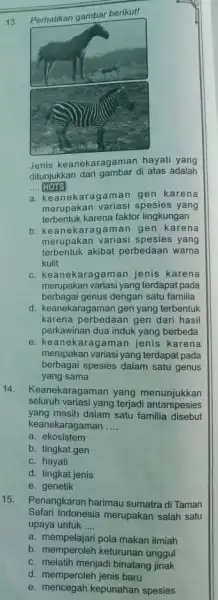 Perhatikan gambar berikut! Jenis keanekaragaman hayati yang ditunjukkan dari gambar di atas adalah HOTS a. keanekaragaman gen karena merupakan variasi spesies yang terbentuk karena