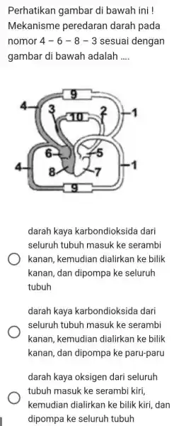 Perhatikan gambar di bawah ini ! Mekanisme peredaran darah pada nomor 4-6-8-3 sesuai dengan gambar di bawah adalah .... darah kaya karbondioksida dari seluruh