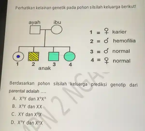 Perhatikan kelainan genetik pada pohon silsilah keluarga berikut! 1= 울ier 2=O/ hemofilia 3=sigma^(') normal 4=q normal Berdasarkan pohon silsilah keluarga prediksi genotip dari parental