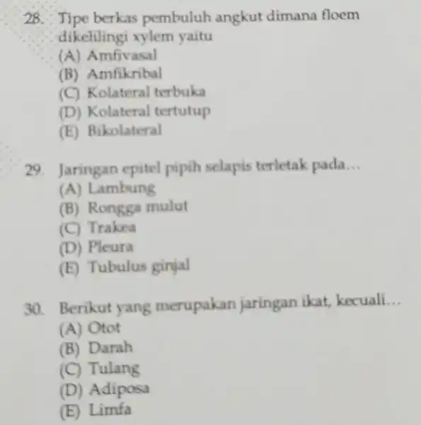 Tipe berkas pembuluh angkut dimana floem dikelilingi xylemyaitu (A) Amfivasal (B) Amfikribal (C) Kolateral terbuka (D) Kolateral tertutup (E) Bikolateral Jaringan epitel pipih selapis