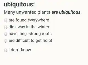 ubiquitous: Many unwanted plants are ubiquitous. are found everywhere die away in the winter have long, strong roots are difficult to get rid of