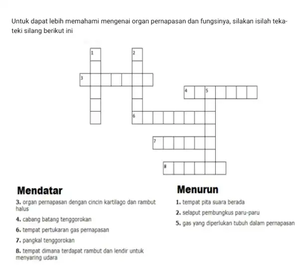 Untuk dapat lebih memahami mengenai organ pernapasan dan fungsinya, silakan isilah tekateki silang berikut ini Mendatar 3. organ pernapasan dengan cincin kartilago dan rambut