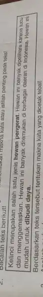 Bacalah teks berikut! Kelinci salah satu jenis hewan pengerat Hewan ini banyak dipelihara karena lucu dan menggemask in. Hewan ini banyak ditemukan di berbagai