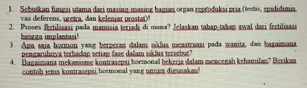 1. Sebutkan fungsi utama dari masing-masing bagian organ reproduksi pria (testis:. enididimis. vas deferens, uxetra, dan kelenjar prostat)! 2. Proses fertilisasi pada manusia terjadi