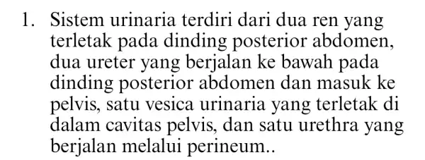 1. Sistem urinaria terdiri dari dua ren yang terletak pada dinding posterior abdomen, dua ureter yang berjalan ke bawah pada dindin g posterior abdomen