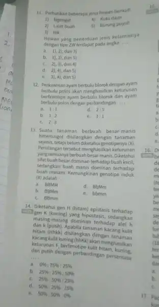 11 Perhatikan beberapa jenis hewan berikut! 1)Ngengat 4) Kutu daun 2) Lalat buah 5) Burung puyuh 3) Itik Hewan yang penentuan jenis kelaminnya dengan