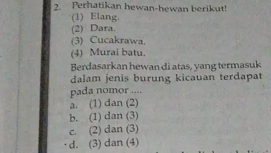 2. Perhatikan hewan hewan berikut! (1) Elang. (2) Dara. (3) Cucakrawa. (4) Murai batu. Berdasarkan hewan di atas, yang termasuk dalam jenis burung kicauan