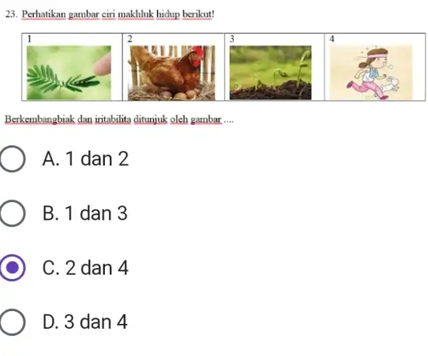 23. Perhatikan gambar ciri makhluk hidup berikut! Berkembangbiak dan intabilita ditunjuk oleh gambar __ A. 1 dan 2 B. 1 dan 3 C. 2