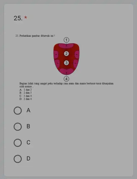 25. * 25. Perhatikan gambar dibawah ini! Bagian lidah yang sangat peka terhadap rasa asam dan manis berturut-turut ditunjukan oleh nomor.. __ A. 1