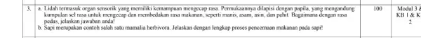 3. a. Lidah termasuk organ sensorik yang memiliki kemampuan mengecap rasa. Permukaannya dilapisi dengan papila, yang mengandung kumpulan sel rasa untuk mengecap dan membedakan